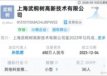 罗曼股份业务重构进行时，2.93亿定增持续加码算力业务