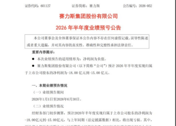 赛力斯，置身「界」内