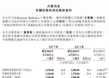 地平线2026上半年净利润扭亏与经调整亏损扩大并存