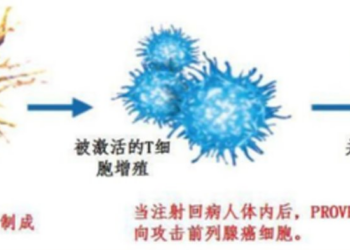 疫苗的东风终于来了