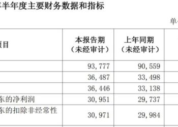 浦发银行半年报：双增的业绩，三个待解的问号