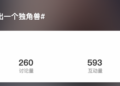 马斯克又悄悄做出一个独角兽