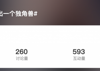 马斯克又悄悄做出一个独角兽