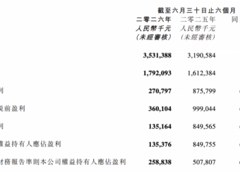 营收大增、净利暴跌 阅文上半年为何增收不增利？