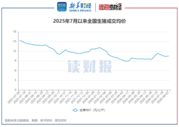 【读财报】猪价回升：7月上市猪企销量同比增长2.76% 神农集团、金新农增速居前
