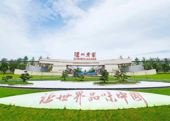 主动减产,泸州老窖高端酒毛利未伤,预收款水位已降 | 看财报