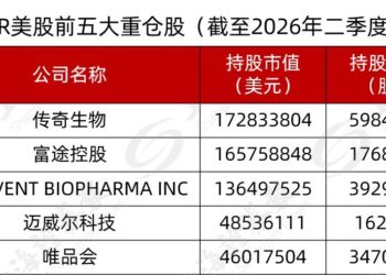 HHLR二季度增持英伟达 AI产业投资分歧逐步显现