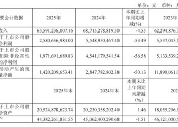悬而未决的港股聆讯，与「非洲之王」传音的利润幻象